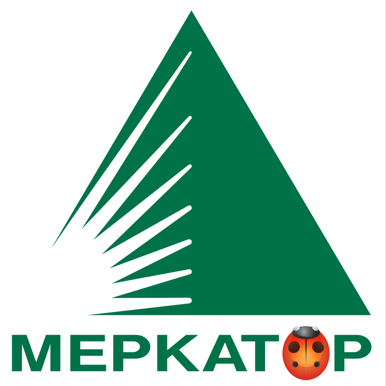 Меркатор Холдинг ЭлектроСфера Кисловодск